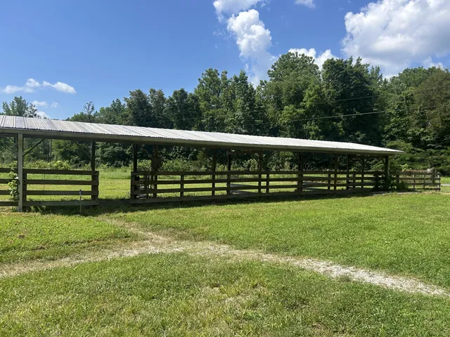 a view of a park with large trees