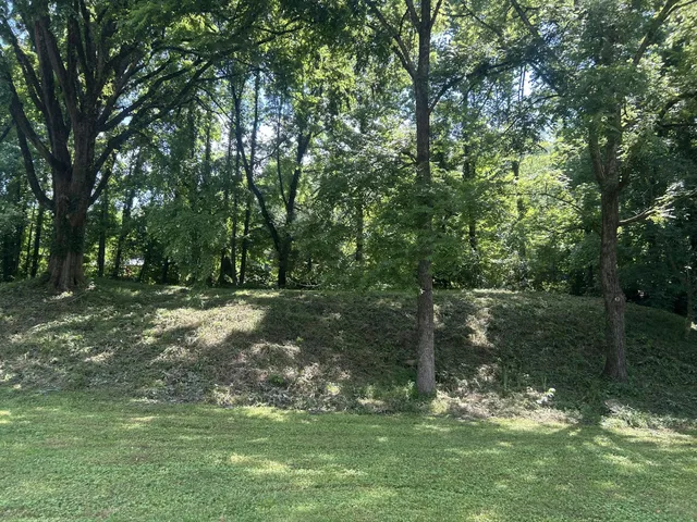 a backyard of a house with lots of green space