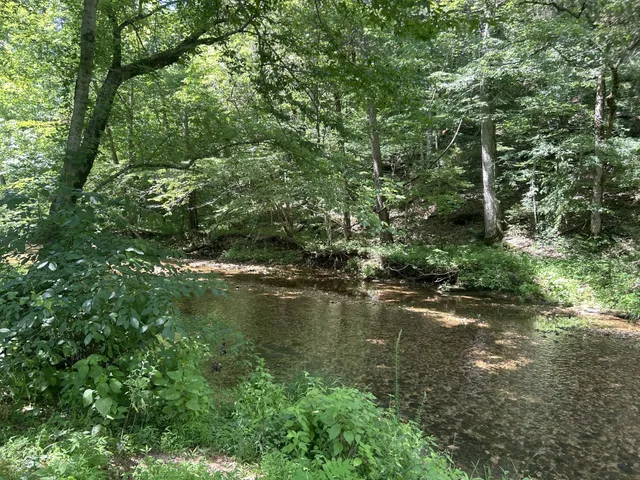 a view of lake with green space