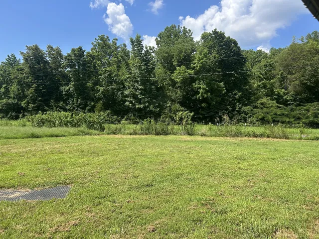 a view of a field with an trees