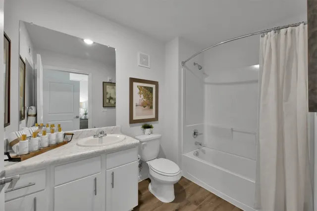a bathroom with a double vanity sink toilet mirror and bathtub