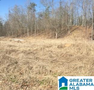 321 Camp Forrest Trail, Unit 772 Helena, AL 35080 - Photo 3 of 10