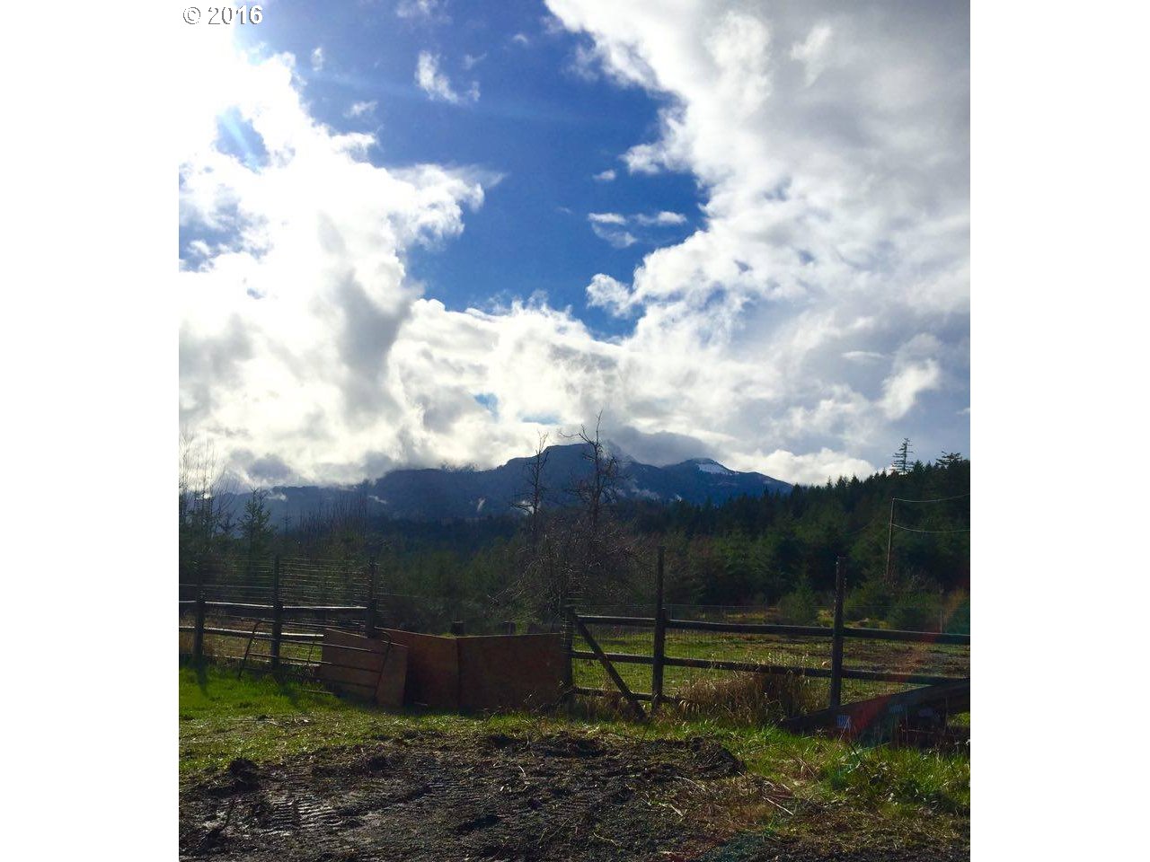 3571 East Loop Road Stevenson, WA 98648 - Photo 11 of 15
