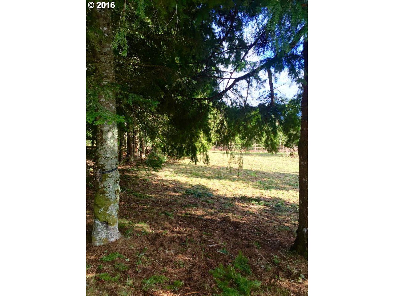 3571 East Loop Road Stevenson, WA 98648 - Photo 7 of 15