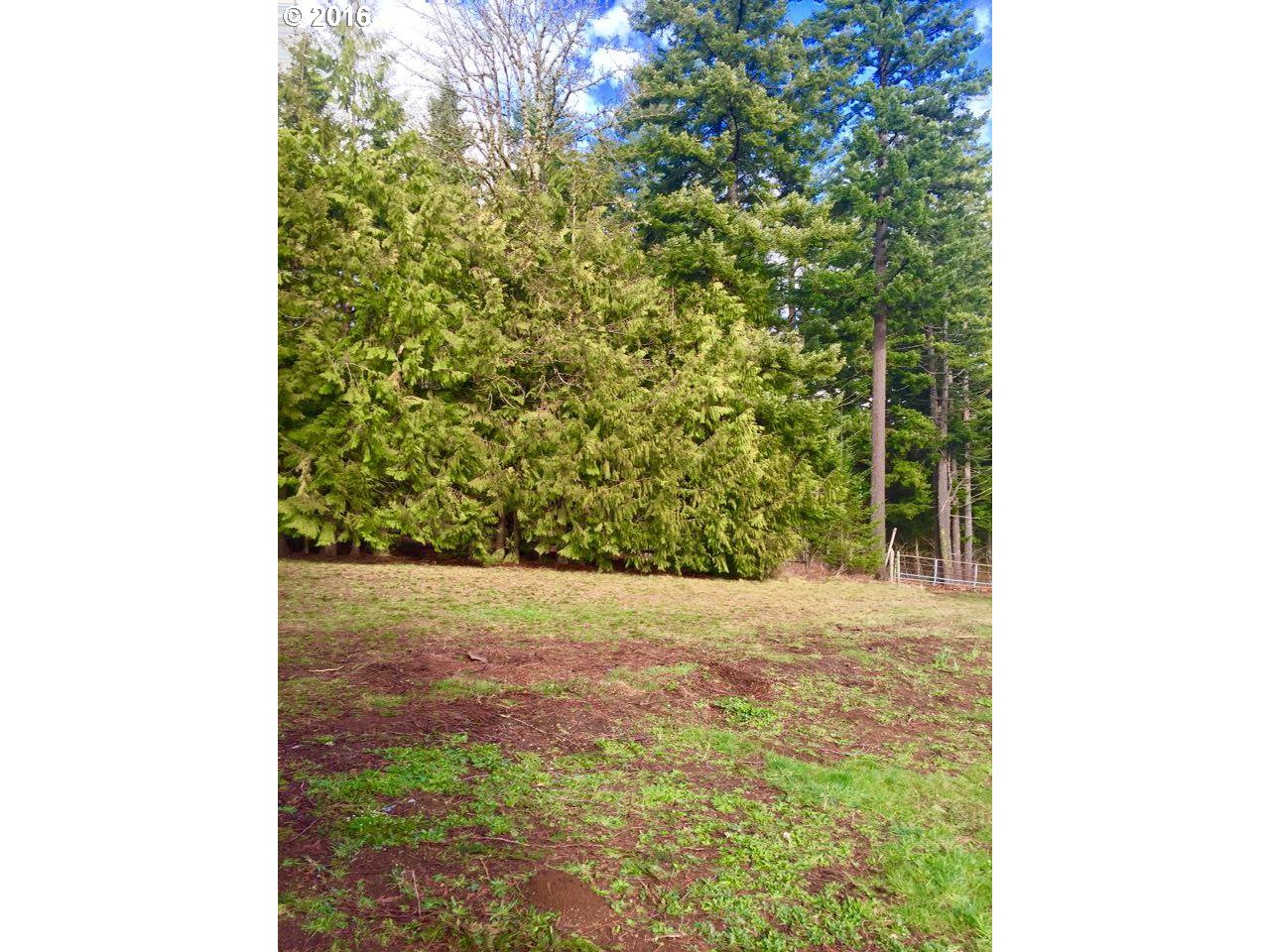 3571 East Loop Road Stevenson, WA 98648 - Photo 10 of 15