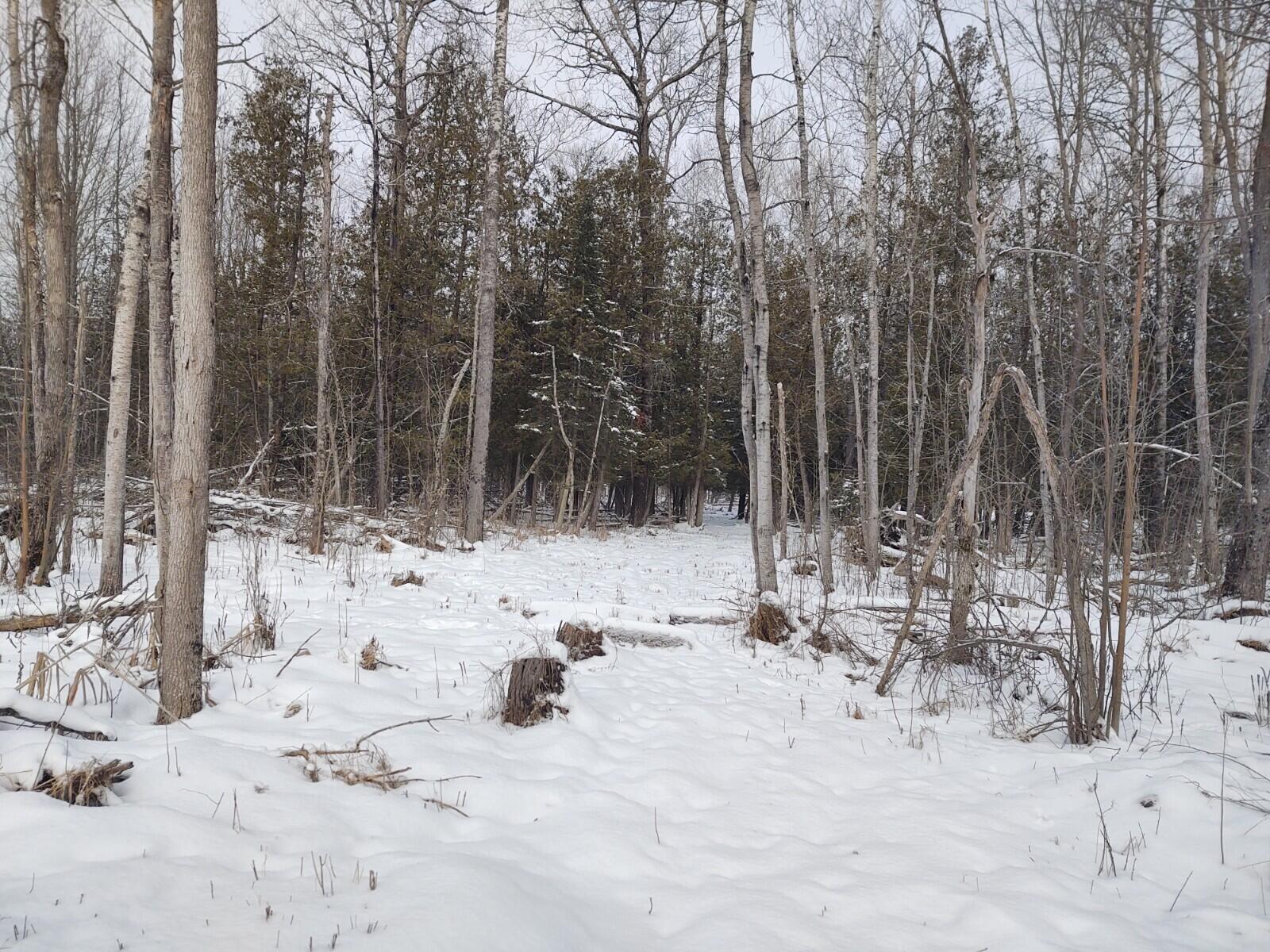 7660 Witt Road Alpena, MI 49707 - Photo 19 of 20 Gallery Image 19