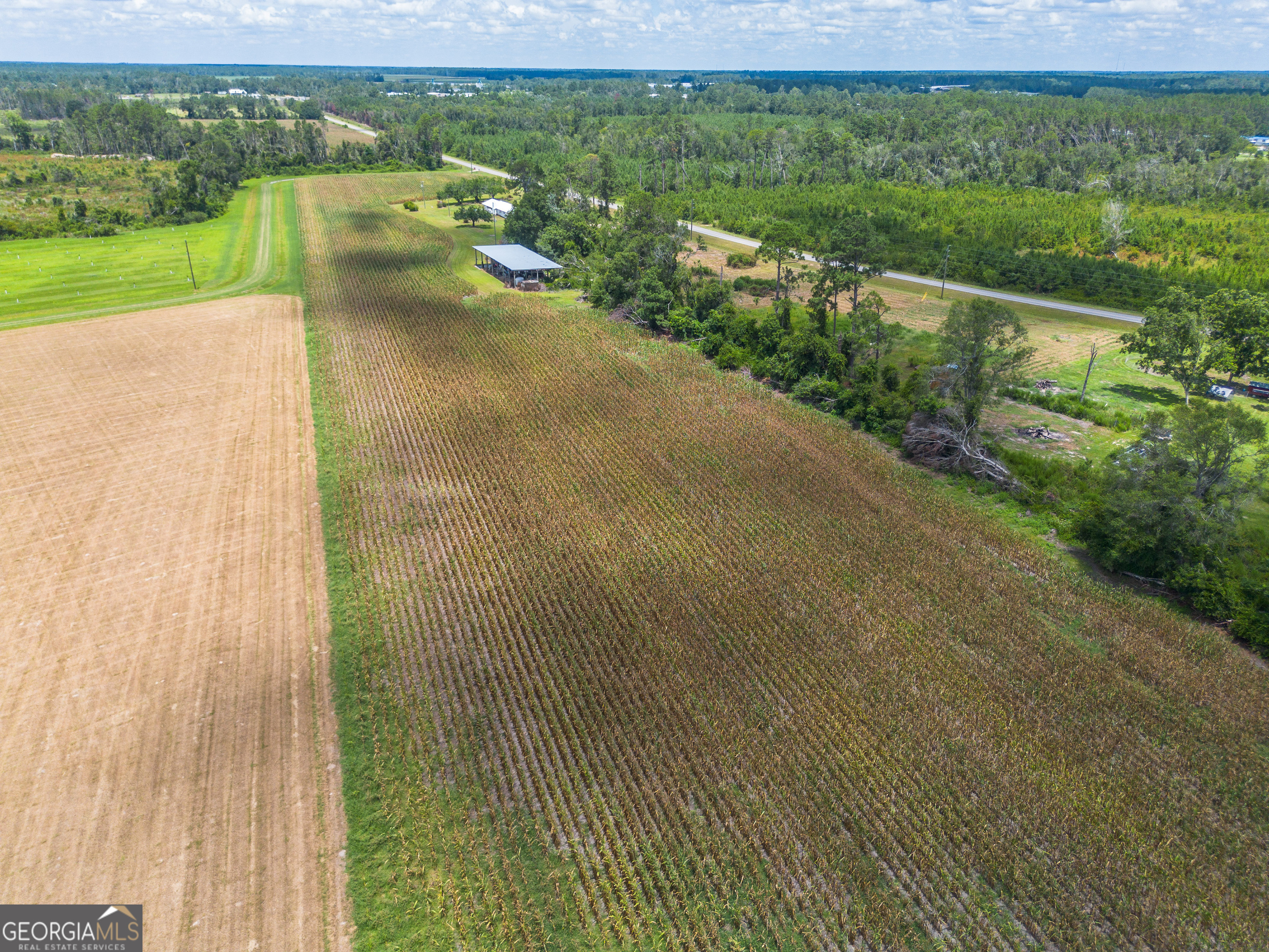 598 Teakwood Road Alma, GA 31510 - Photo 3 of 5 a view of a city from a yard