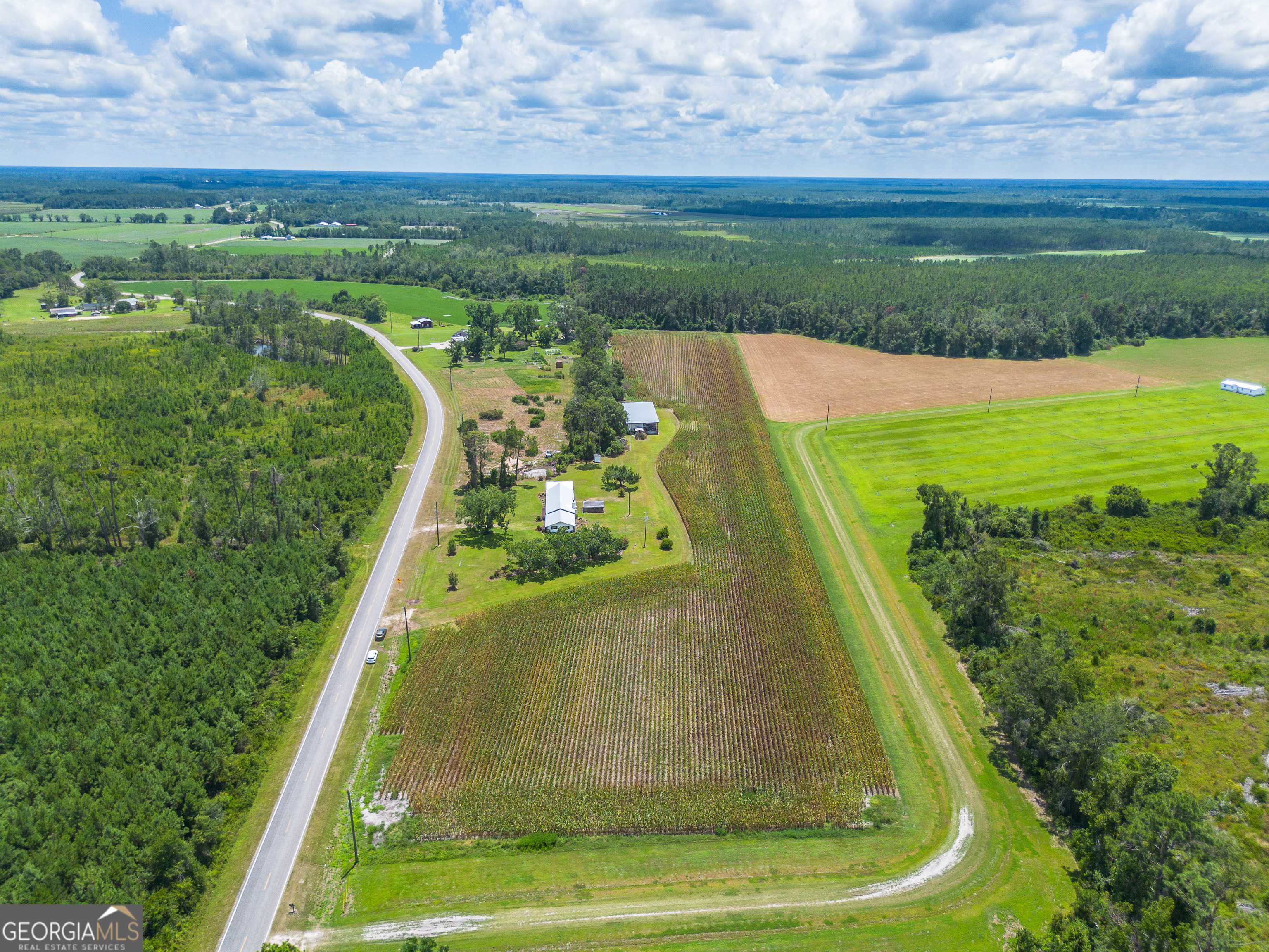 598 Teakwood Road Alma, GA 31510 - Photo 5 of 5 a view of a yard with a fountain