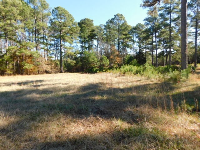 2375 Union Church Road Thomson, GA 30824 - Photo 2 of 9