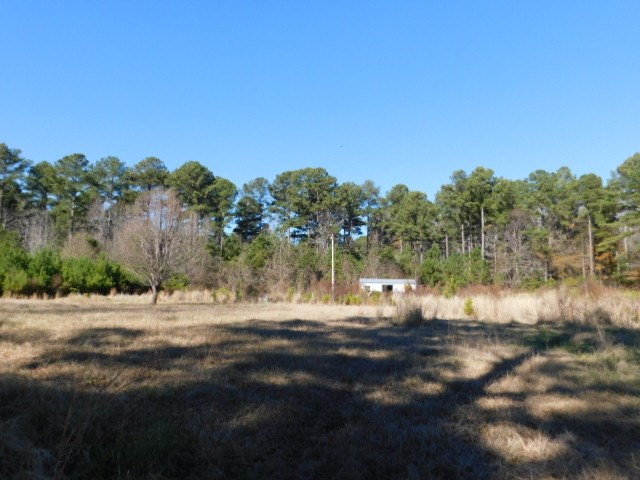2375 Union Church Road Thomson, GA 30824 - Photo 3 of 9