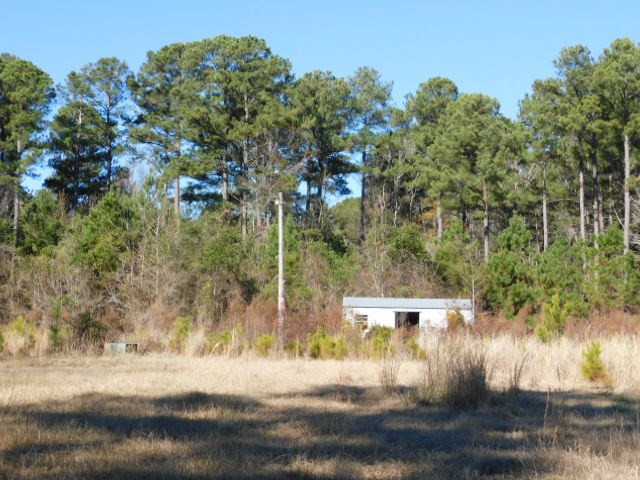 2375 Union Church Road Thomson, GA 30824 - Photo 4 of 9