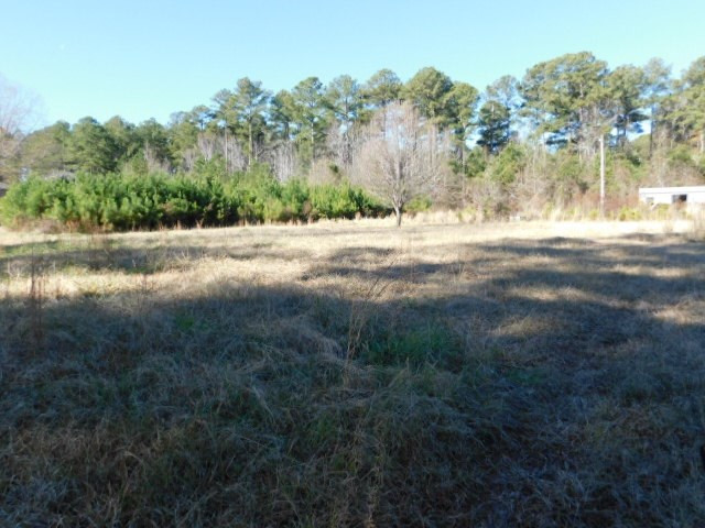 2375 Union Church Road Thomson, GA 30824 - Photo 5 of 9