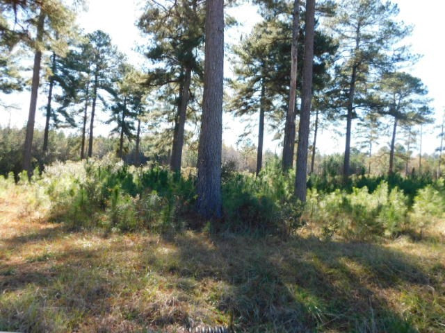 2375 Union Church Road Thomson, GA 30824 - Photo 6 of 9