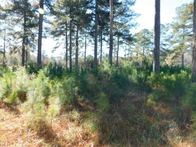 2375 Union Church Road Thomson, GA 30824 - Photo 7 of 9
