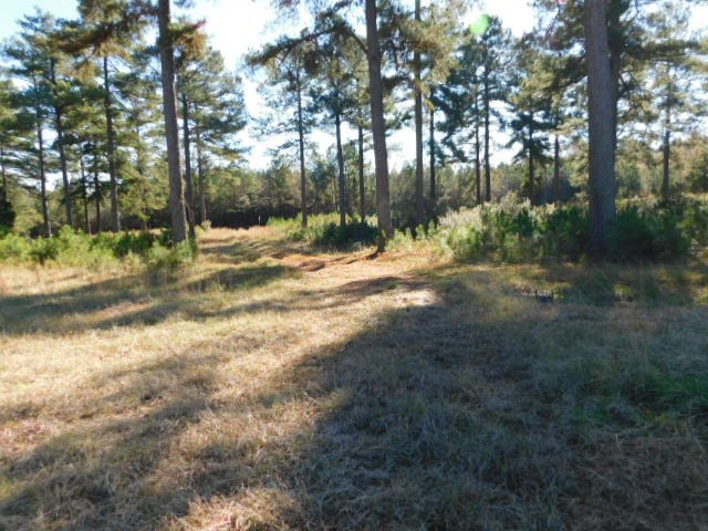 2375 Union Church Road Thomson, GA 30824 - Photo 8 of 9