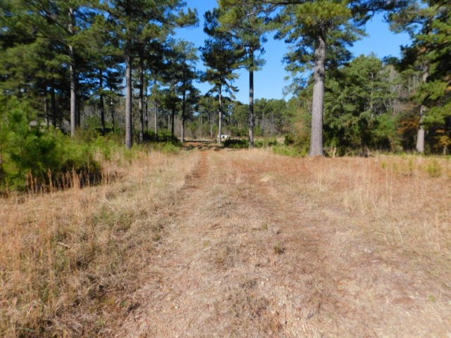 2375 Union Church Road Thomson, GA 30824 - Photo 9 of 9