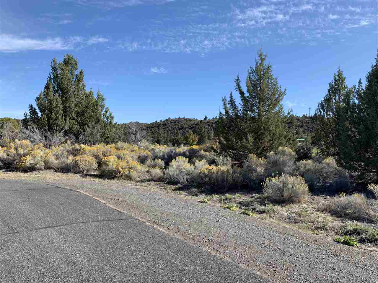 Lot 259 Casper Road Weed, CA 96094 - Photo 7 of 14 Gallery Image 7