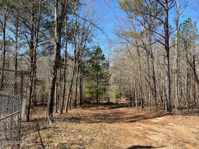 4999 Sandy Run Road Sparta, GA 31087 - Photo 5 of 19 a view of a backyard with large trees