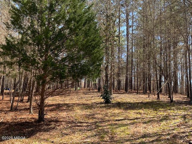 4999 Sandy Run Road Sparta, GA 31087 - Photo 9 of 19 a view of park with trees