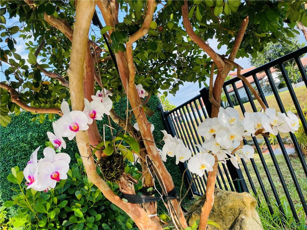 6400 Via Rosa Boca Raton, FL 33433 - Photo 21 of 53 Photo 21