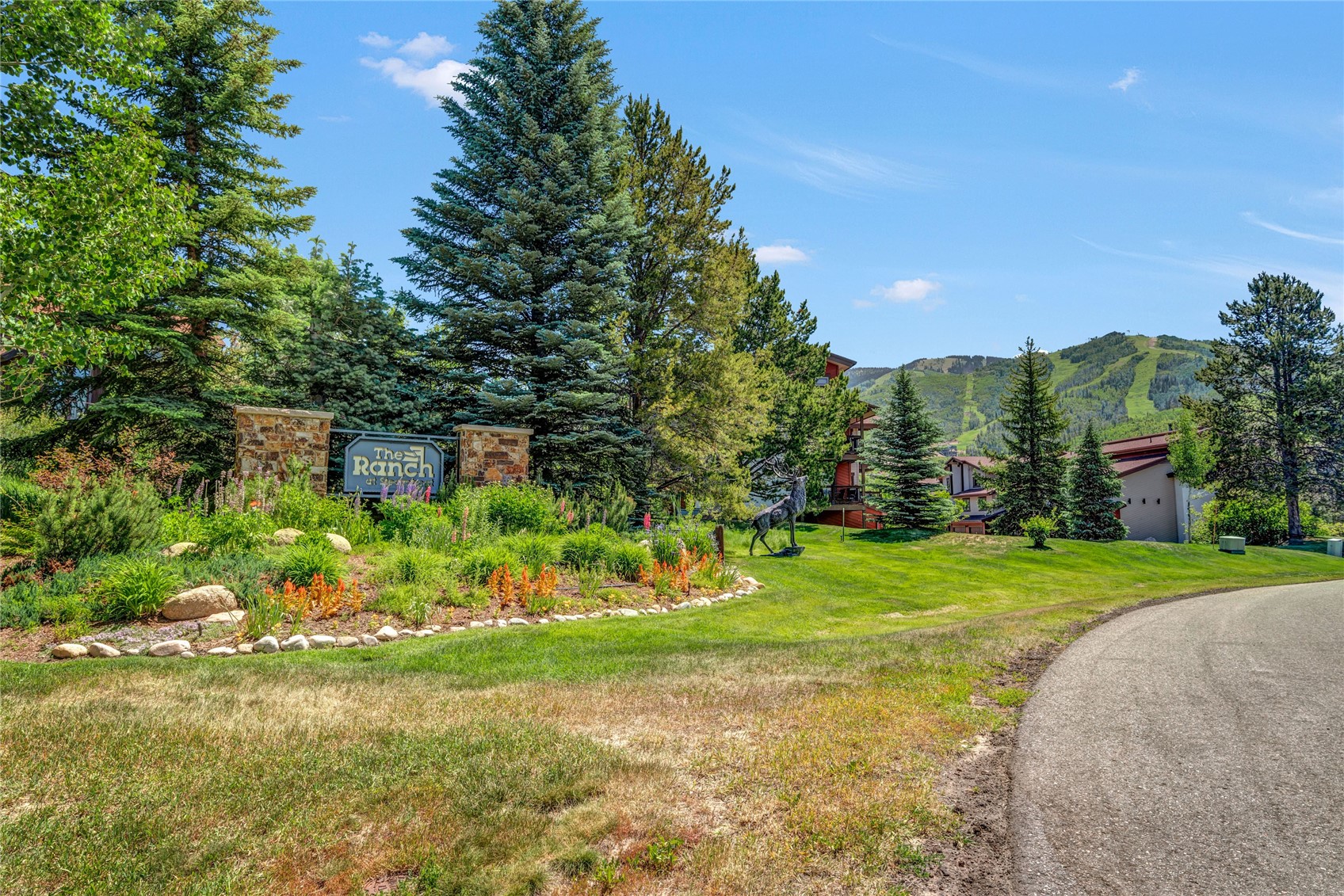 1720 Ranch Road, Unit 309 Steamboat Springs, CO 80487 - Photo 40 of 43 a view of a backyard with plants and large trees