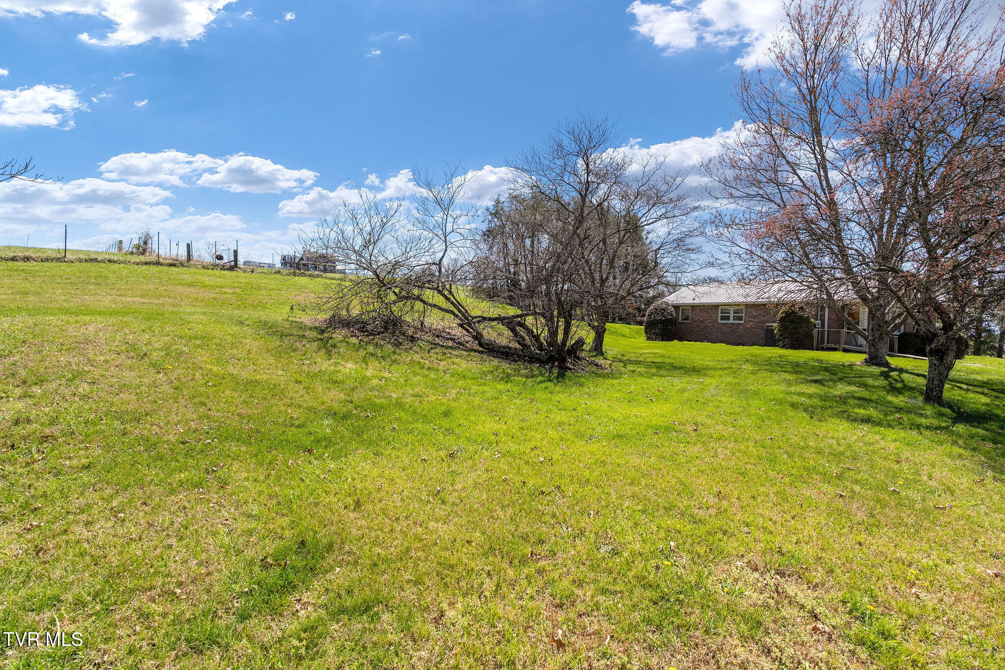 431 Bowmantown Road Telford, TN 37690 - Photo 5 of 54 DSC08784