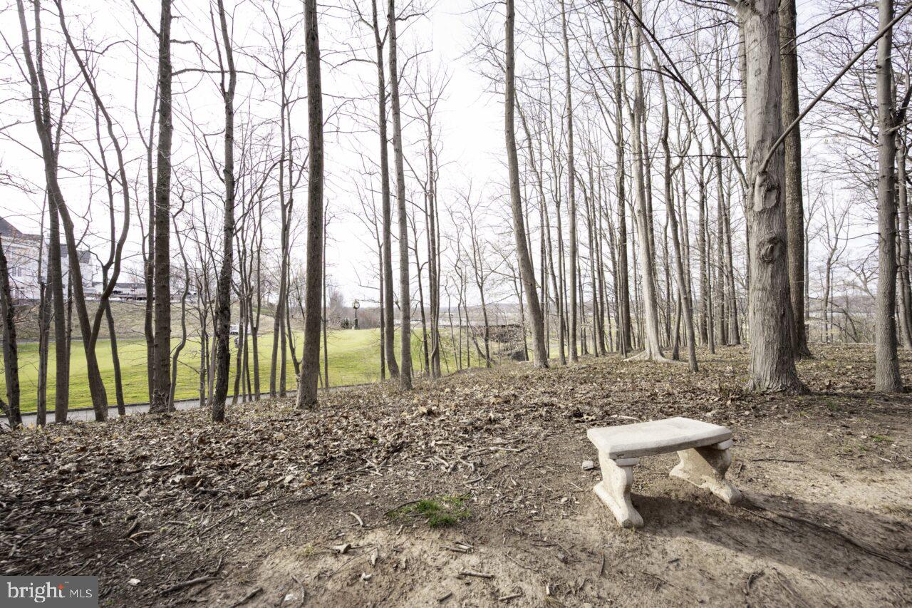 47799 Scotsborough Square Sterling, VA 20165 - Photo 45 of 53 a view of a backyard with potted plants and large trees