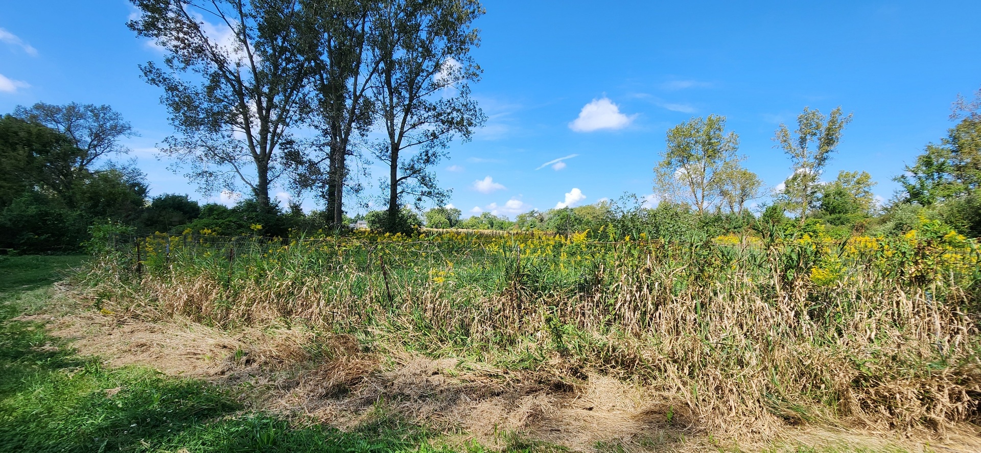 V South Volbrecht Road Crete, IL 60417 - Photo 11 of 12 Gallery Image 11