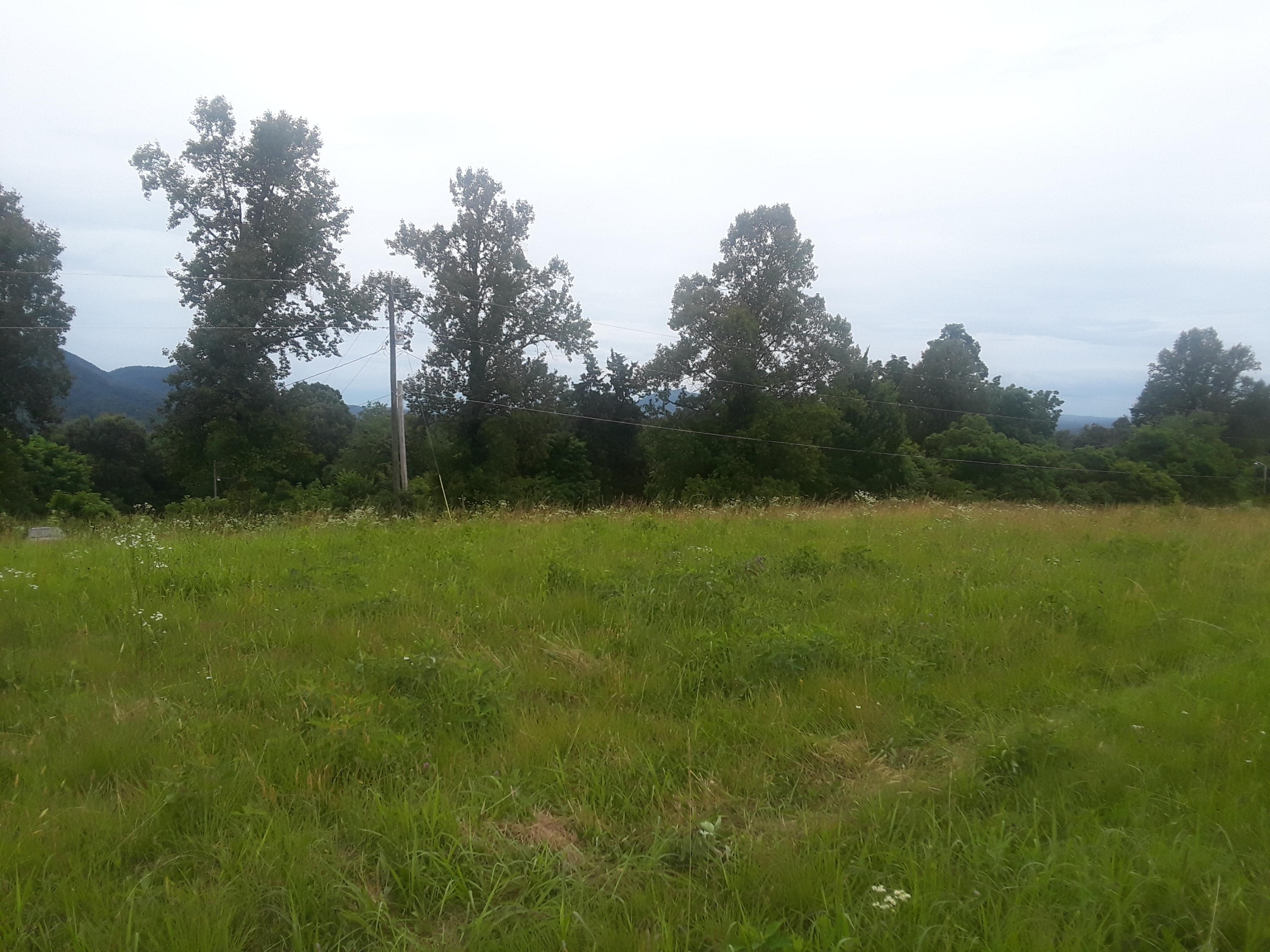 North Ridgecrest Road Luttrell, TN 37779 - Photo 2 of 20 20190608_185451