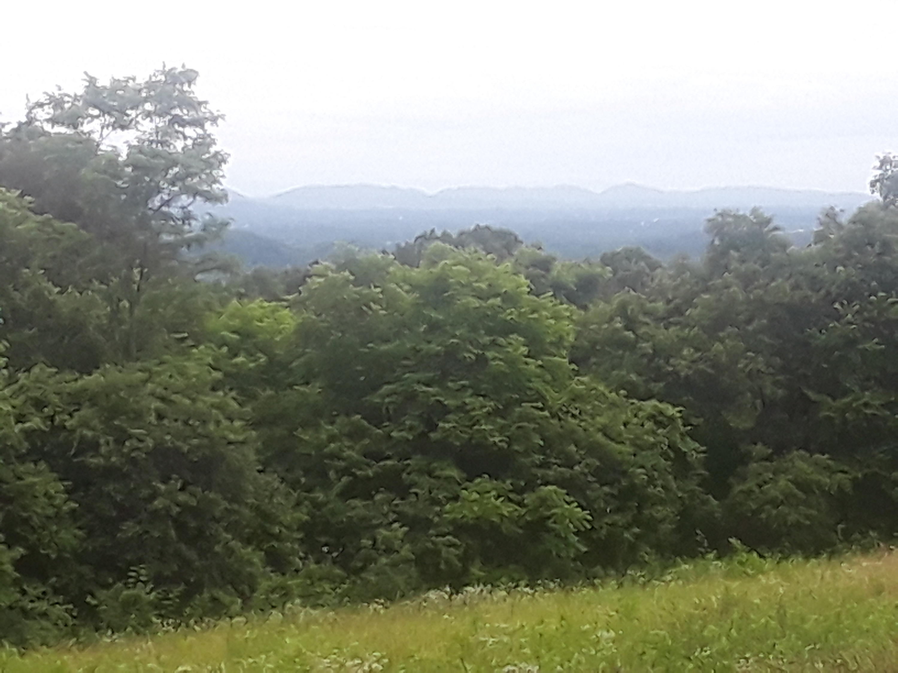 North Ridgecrest Road Luttrell, TN 37779 - Photo 12 of 20 20190608_185751