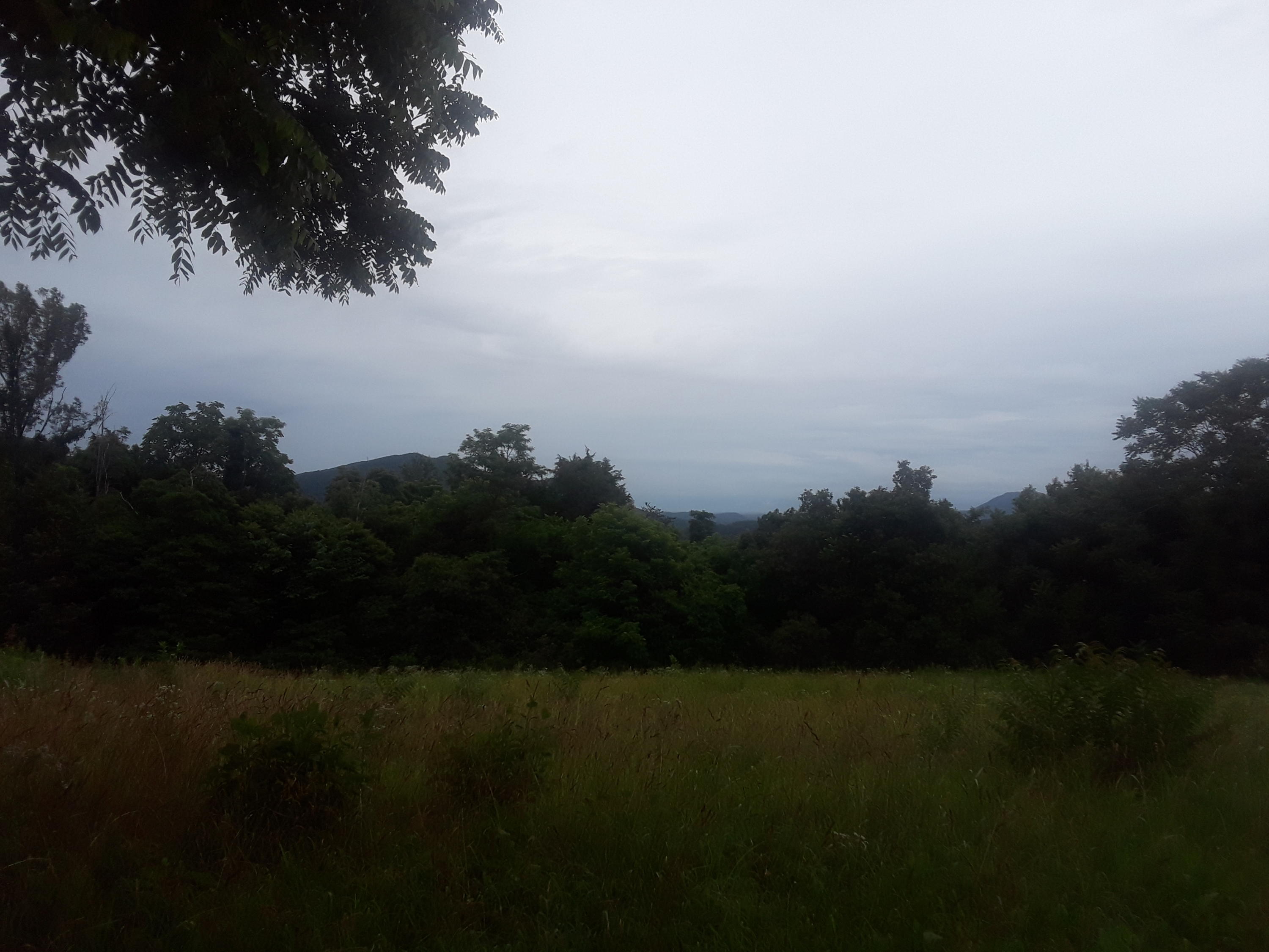 North Ridgecrest Road Luttrell, TN 37779 - Photo 17 of 20 20190608_190023