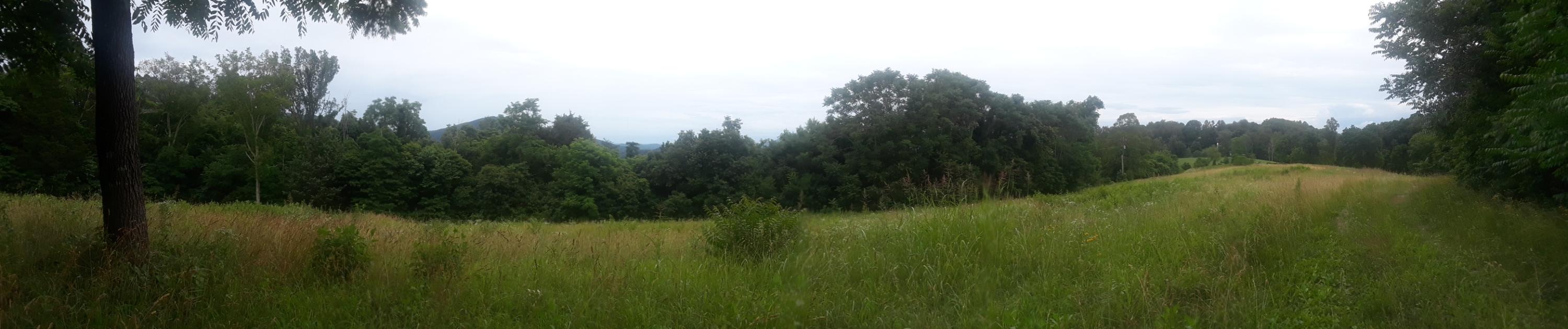 North Ridgecrest Road Luttrell, TN 37779 - Photo 19 of 20 20190608_190054