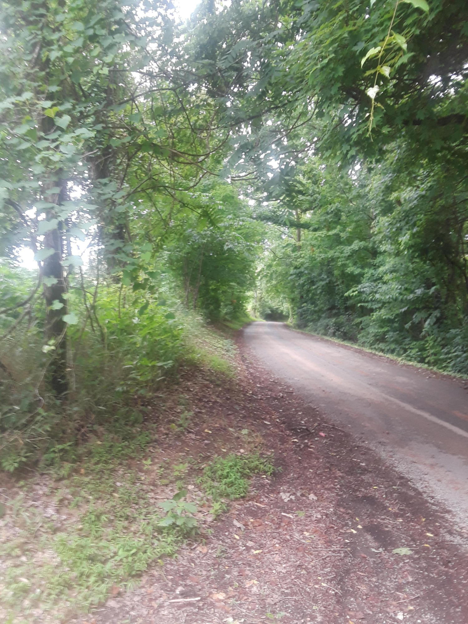 North Ridgecrest Road Luttrell, TN 37779 - Photo 20 of 20 20190608_190457