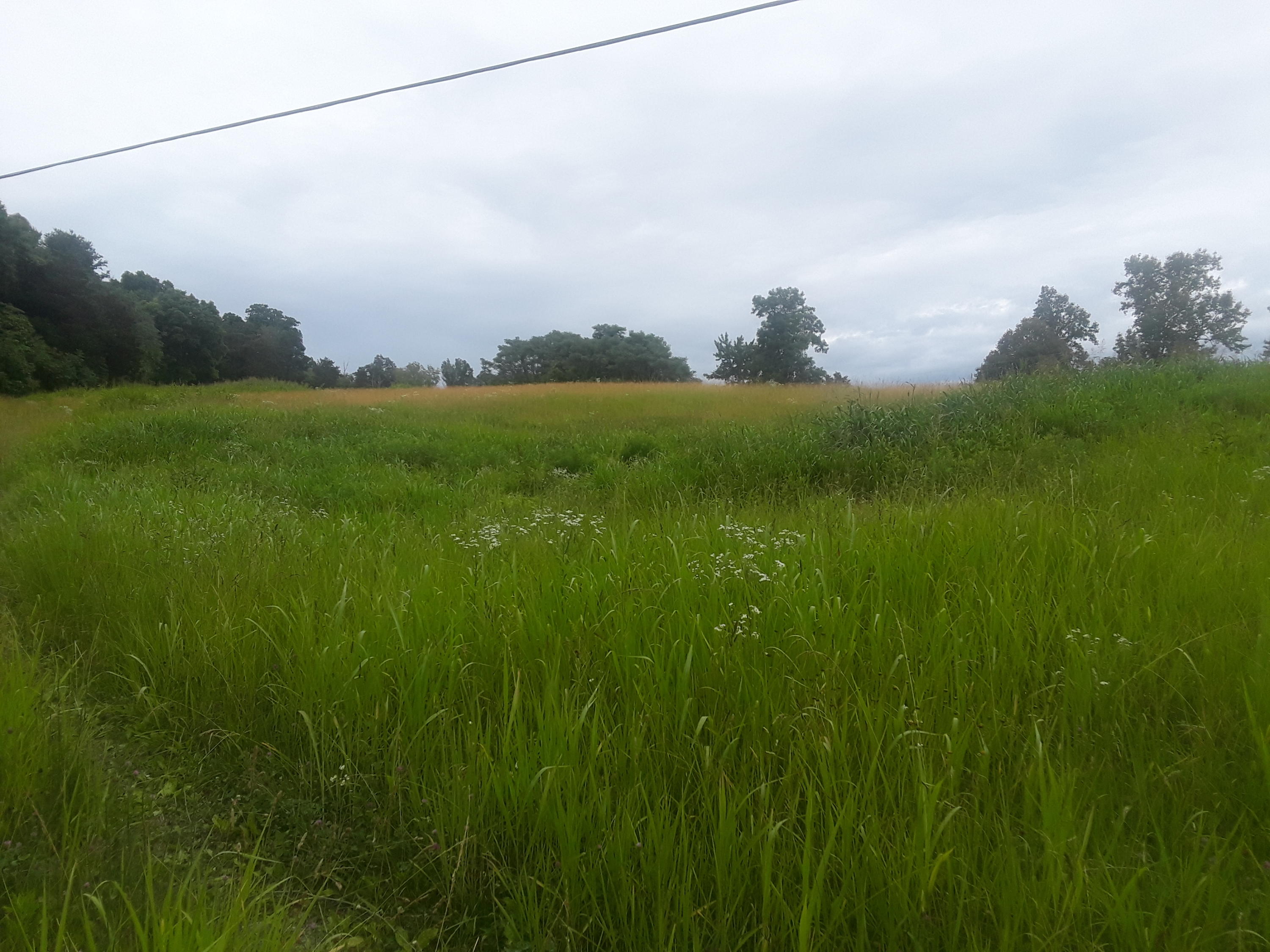 North Ridgecrest Road Luttrell, TN 37779 - Photo 4 of 20 20190608_184407