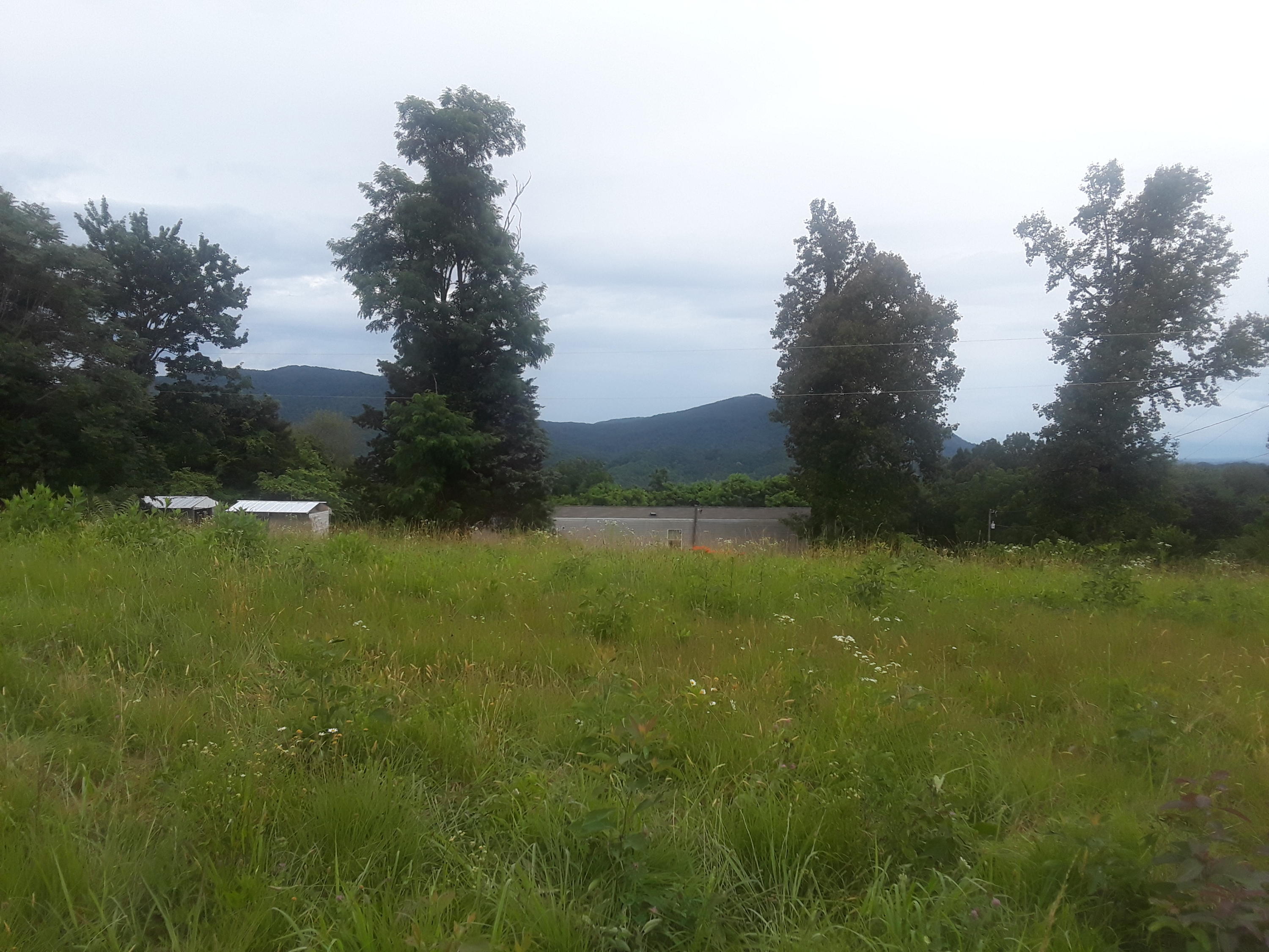North Ridgecrest Road Luttrell, TN 37779 - Photo 7 of 20 20190608_185324_001