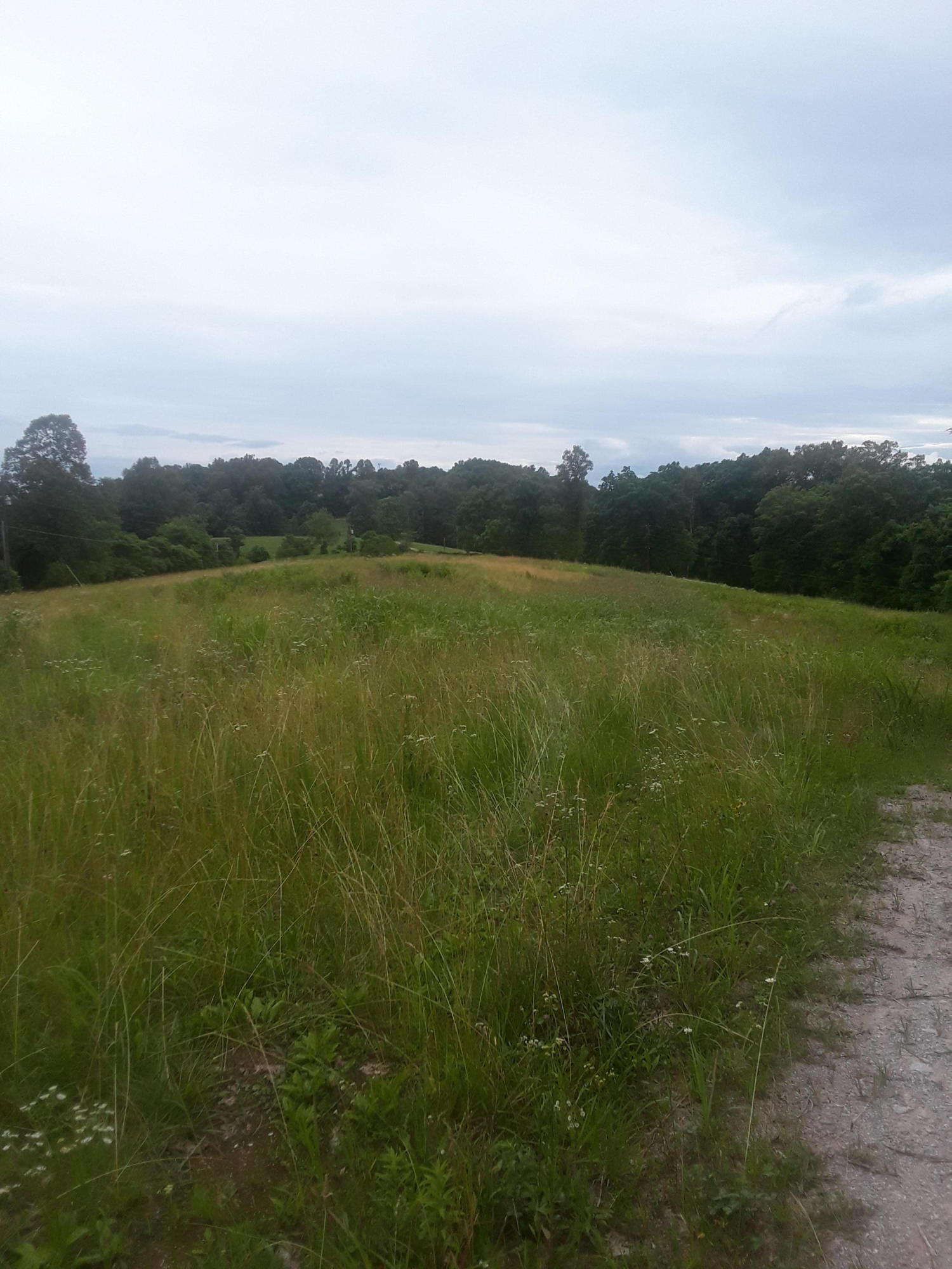 North Ridgecrest Road Luttrell, TN 37779 - Photo 9 of 20 20190608_185638
