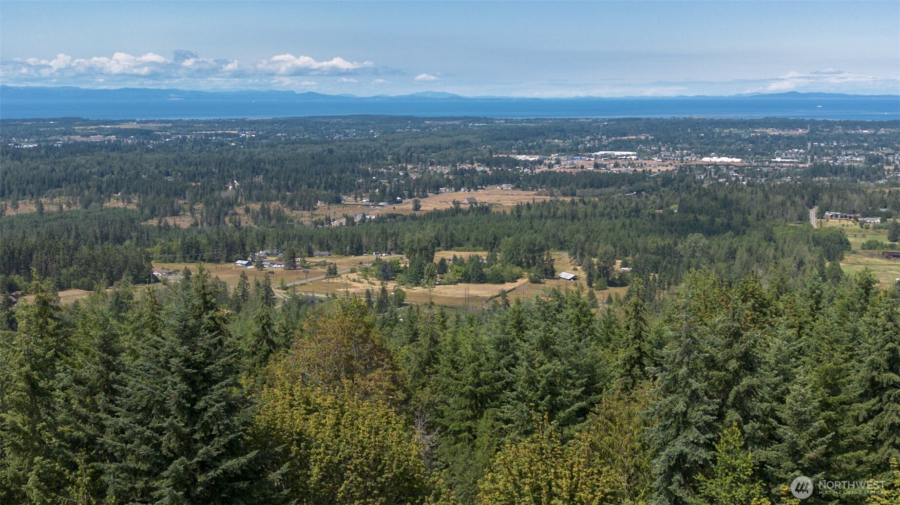 573 Antler Ridge Road Sequim, WA 98382 - Photo 6 of 40