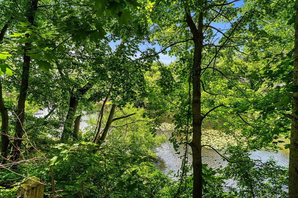 40-48 Primrose Hill Road Dracut, MA 01826 - Photo 19 of 19