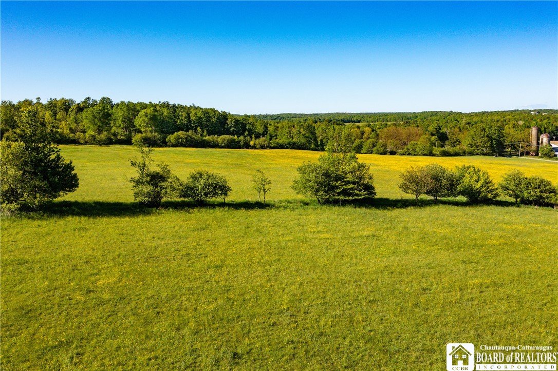 Sherman Road Ripley, NY 14775 - Photo 6 of 13