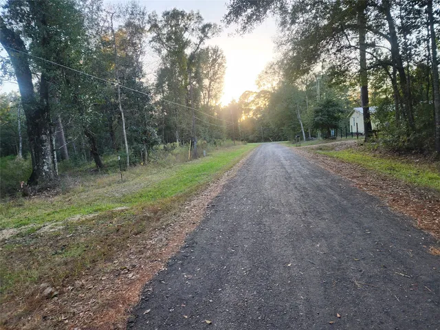 a view of a yard with trees