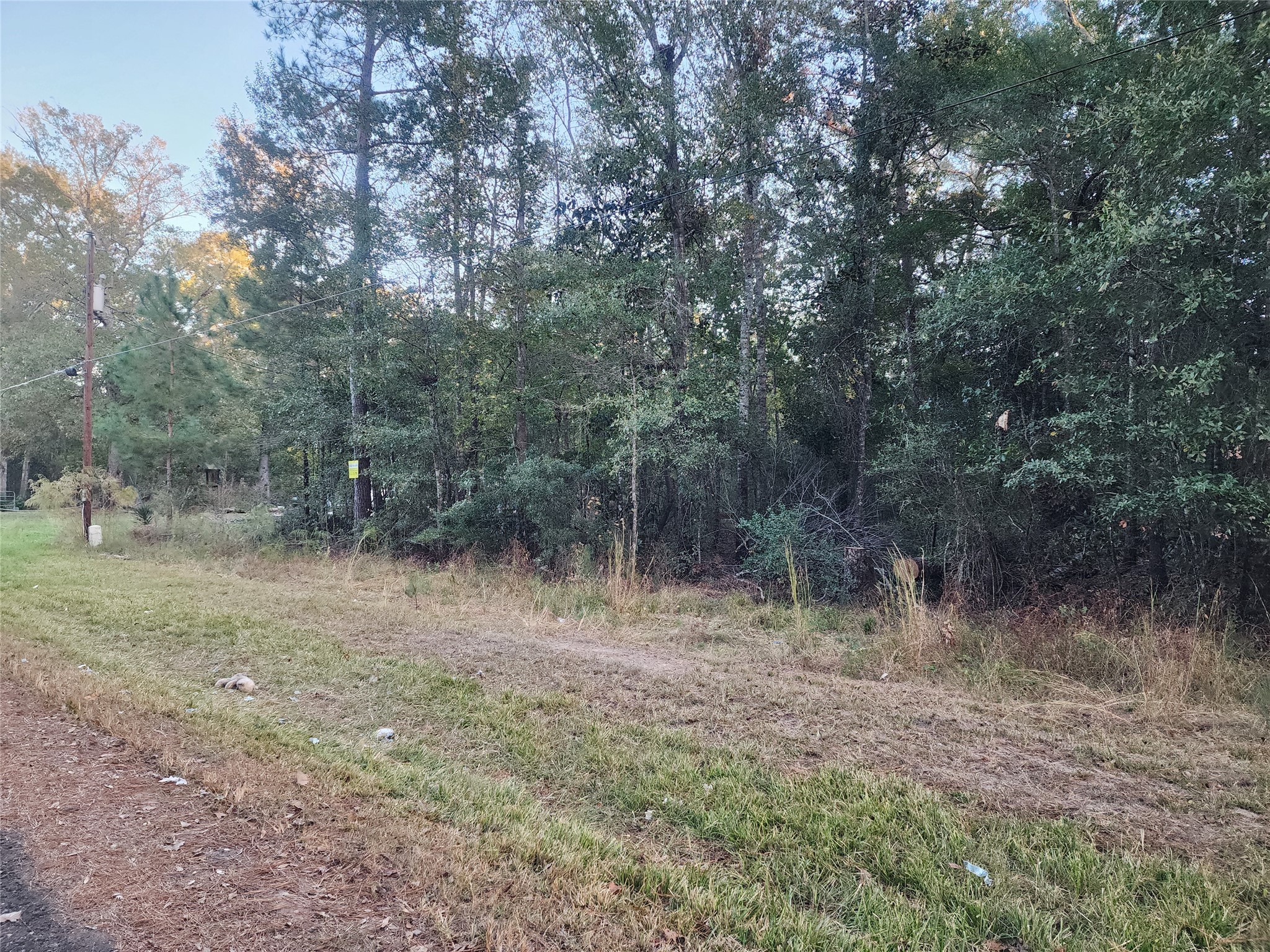 0 Dottie Lane Shepherd, TX 77371 - Photo 6 of 7 a view of a forest with trees in the background