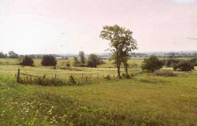 Tbd Cross Roads Road Lena, IL 61048 - Photo 1 of 5 a view of a lake with houses