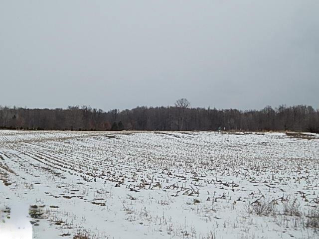 10868 Forest Road Marion, MI 49665 - Photo 27 of 29 1844759-27