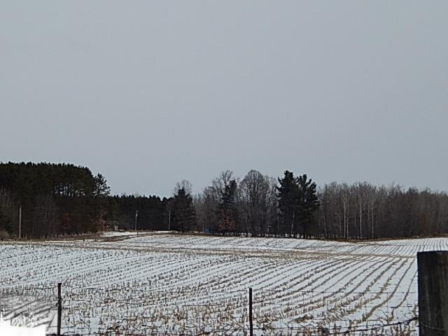 10868 Forest Road Marion, MI 49665 - Photo 28 of 29 1844759-28