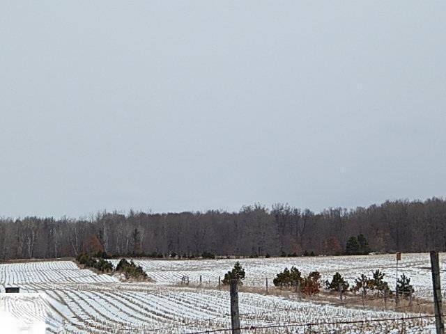 10868 Forest Road Marion, MI 49665 - Photo 4 of 29 1844759-3