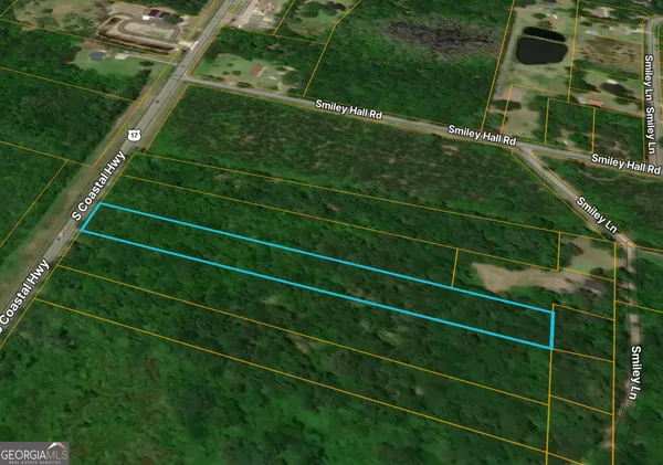 $24,900 | 0 South Coastal Highway, Riceboro, GA 31323