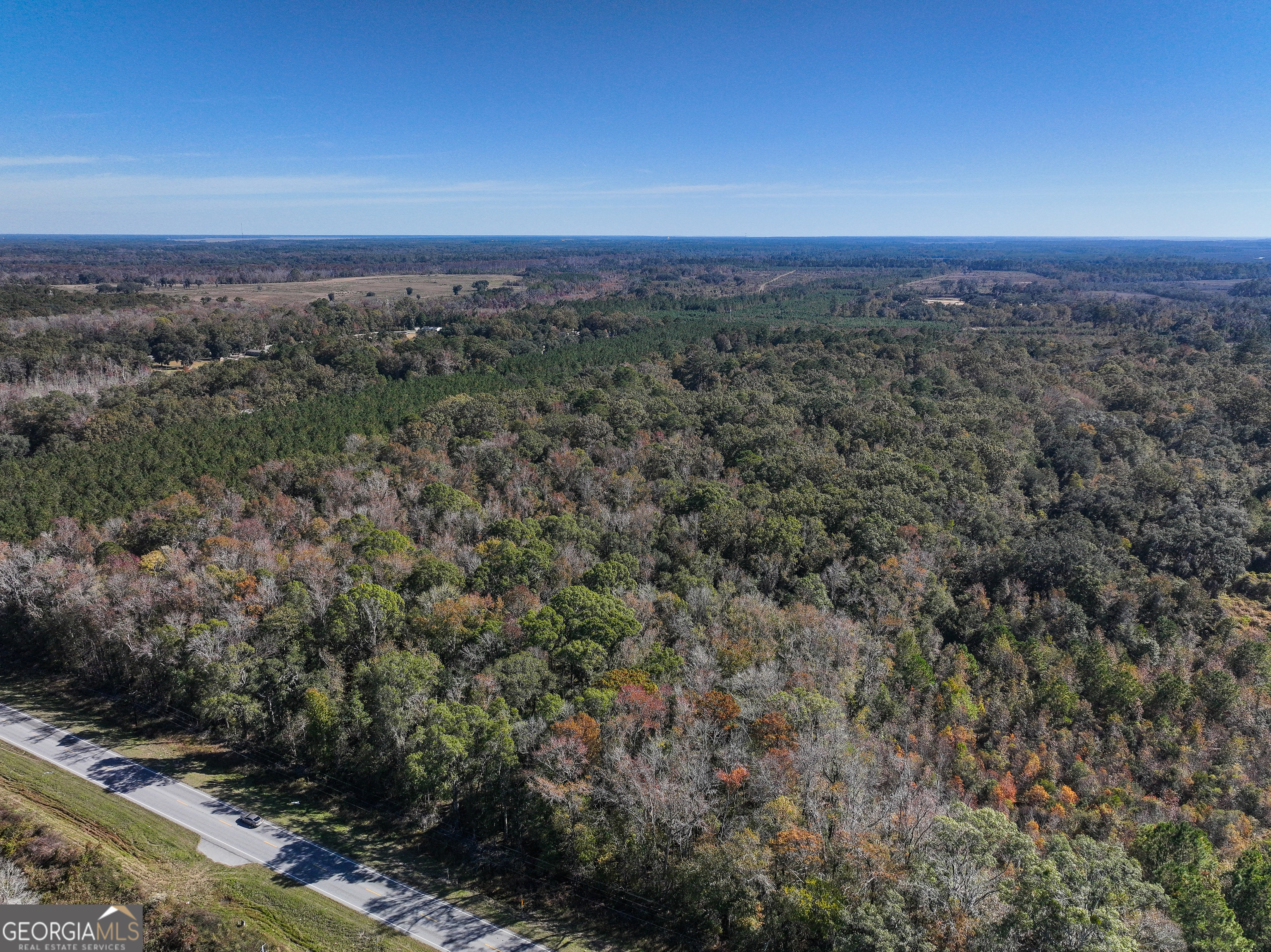 0 South Coastal Highway Riceboro, GA 31323 - Photo 4 of 7