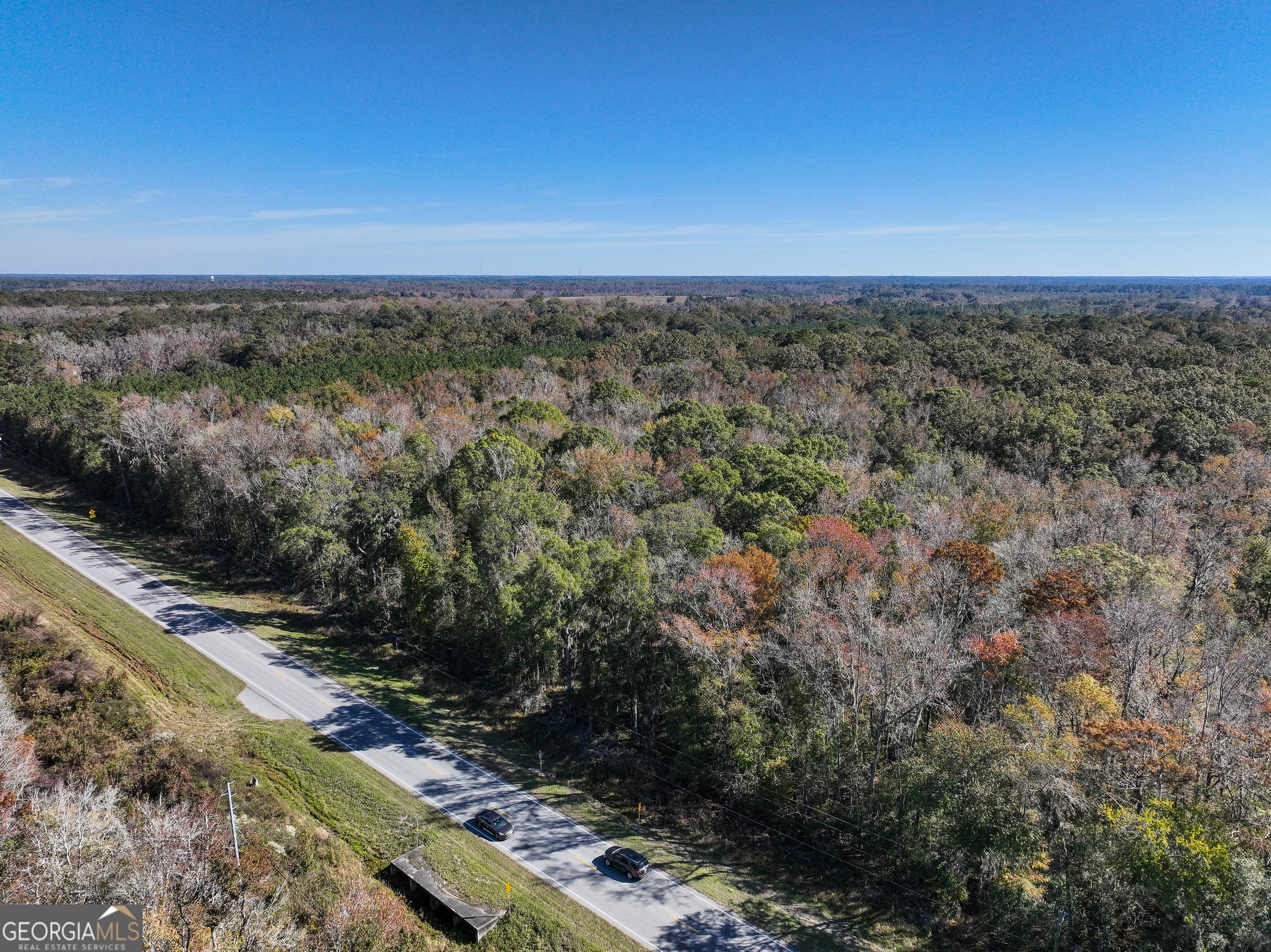 0 South Coastal Highway Riceboro, GA 31323 - Photo 5 of 7