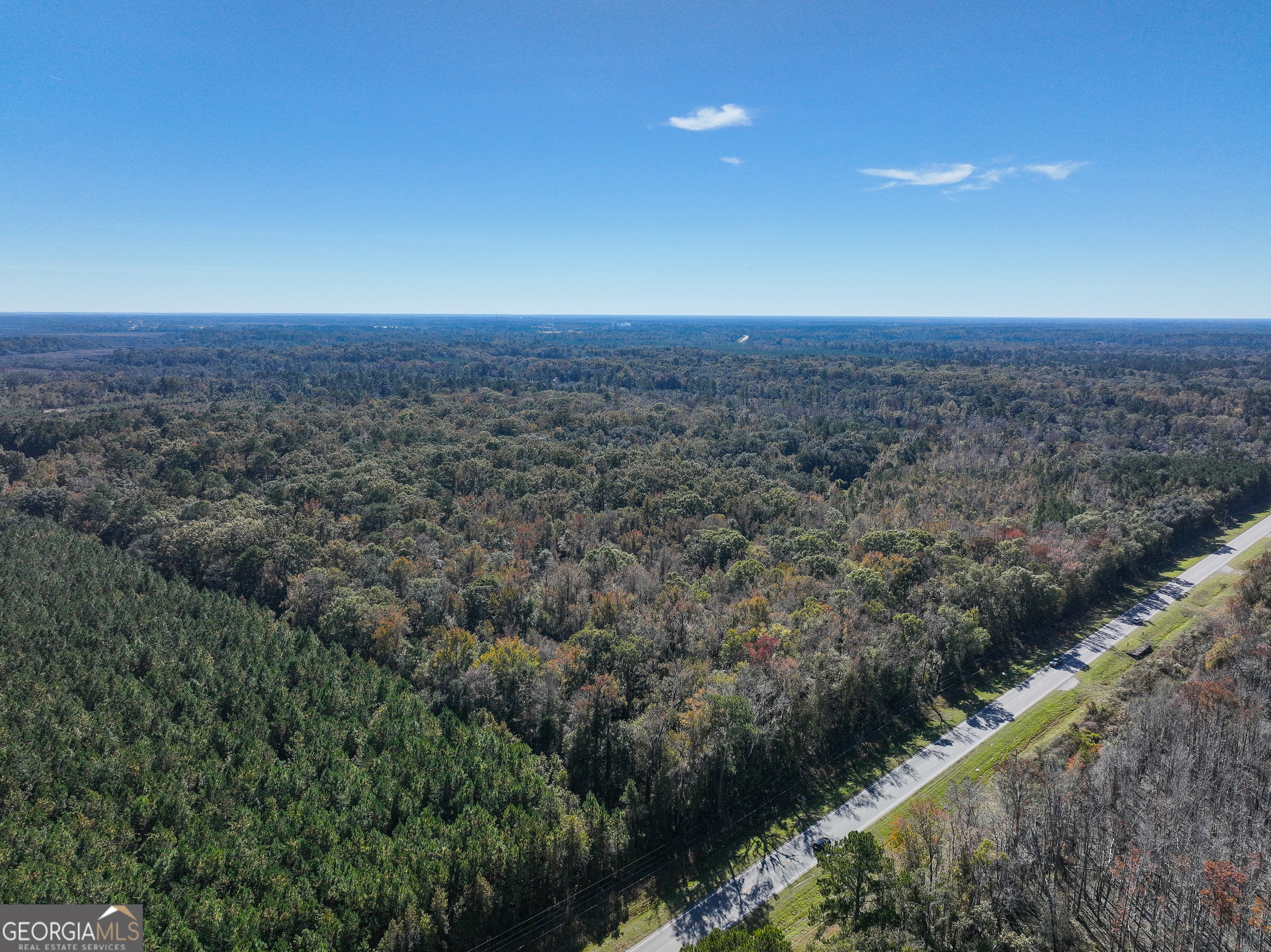 0 South Coastal Highway Riceboro, GA 31323 - Photo 6 of 7