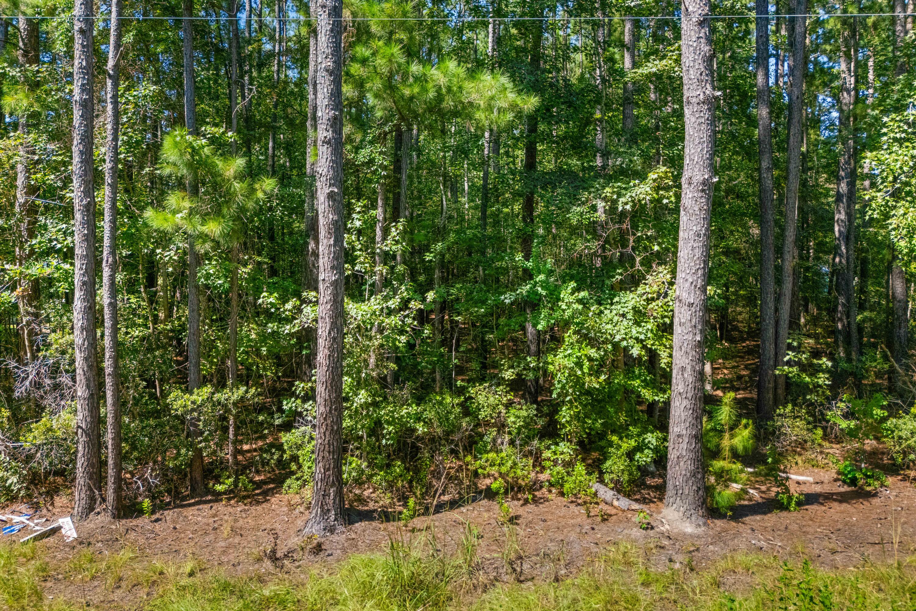 Lot 90 Ponderosa Road Summerville, SC 29483 - Photo 14 of 14 DJI_20250609183839_0552_D_DJI